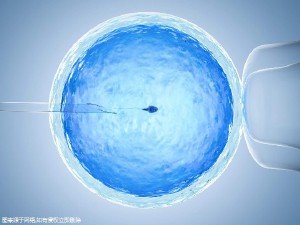 靠谱代怀包成功生殖中心